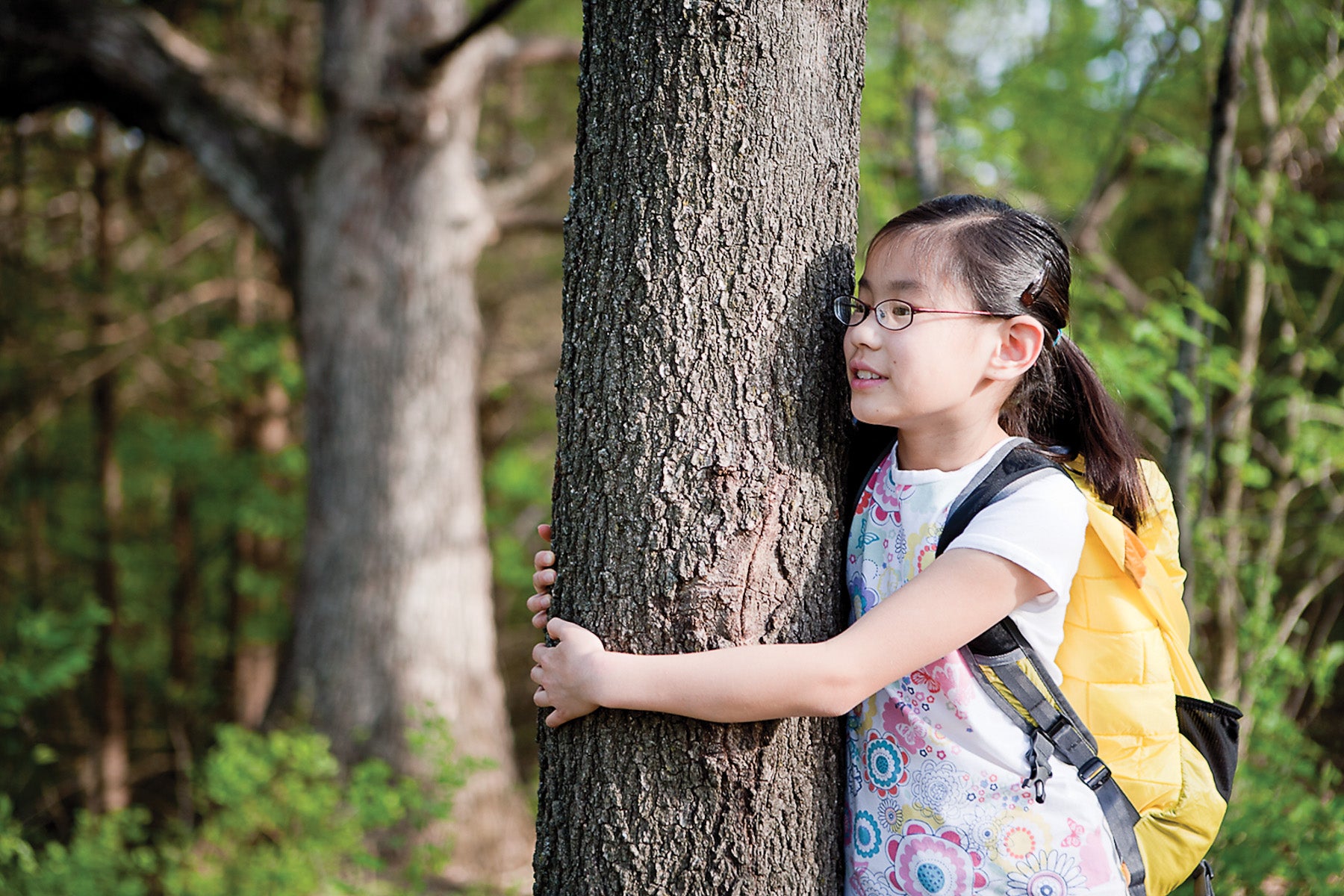 Girl hugs tree so companions can find her while on hike