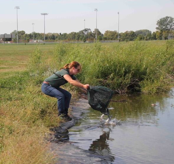 Catfish Stocked at Fountain Bluffs Sports Complex