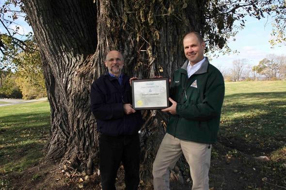 State Champion Cottonwood Tree Award