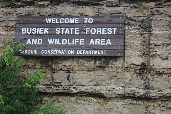 Busiek State Forest and Wildlife Area 