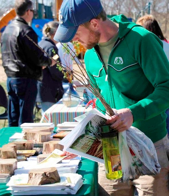 A young bearded man looks over free tree information at an Arbor Day celebration.