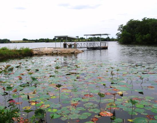 lily pads and a fishing dock at Memphis (Lake Showme)