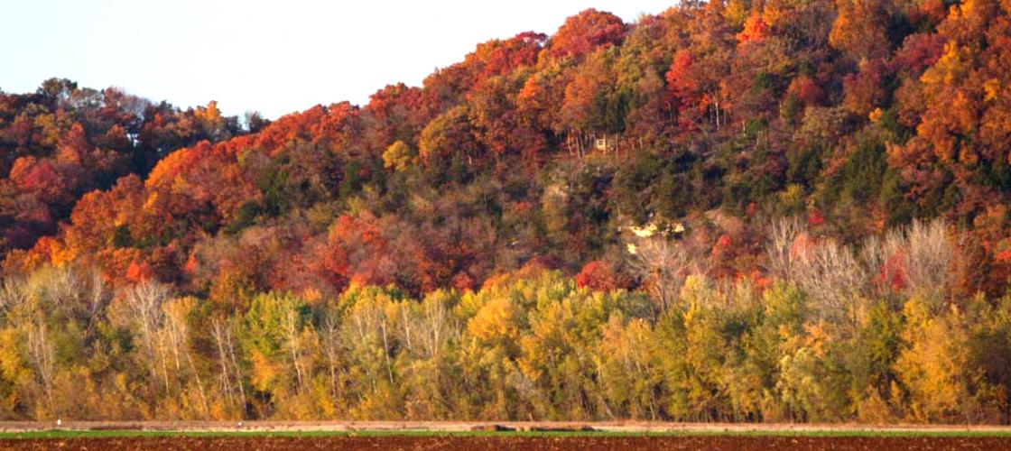 Beautiful red, orange, and yellow fall colors along Hartsburg's river bottom.