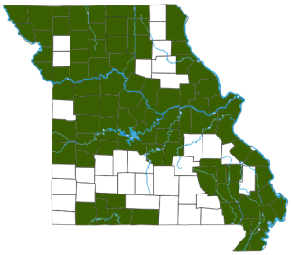 Midland Smooth Softshell Distribution Map