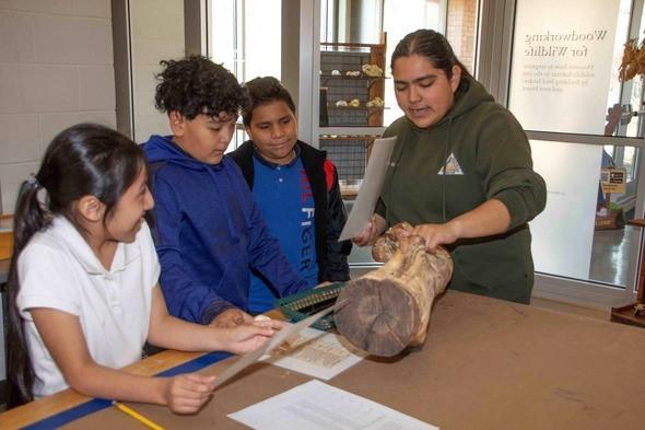 Naturalist shows tree limb to students