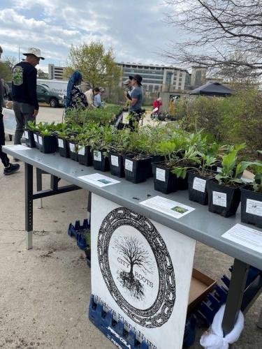 City Roots table in native plant sale