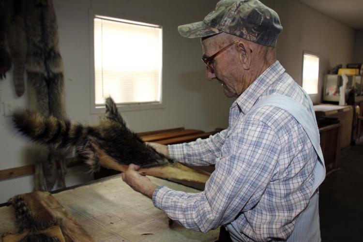 Bud Keller examines raccoon pelt 