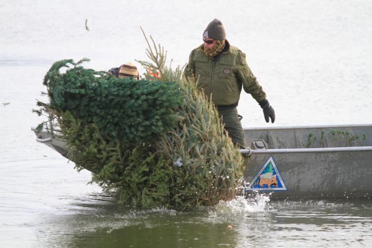 Recycling Christmas Trees for Fish Habitat