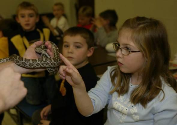 A little girl with glasses touches a snake with one finger as other children look on