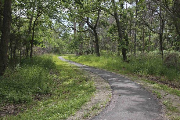A trail on a Conservation Area in Platte County.