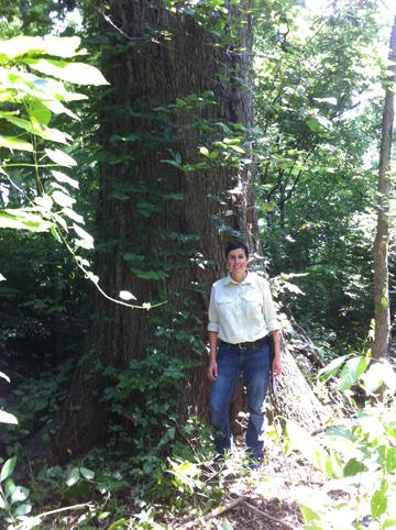  Jennifer Weaver stands in front of a Missouri Champion swamp chestnut oak