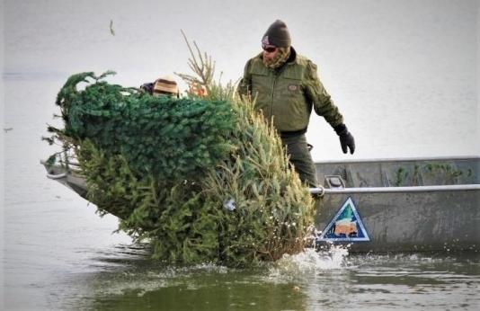 MDC staff dump Christmas tree in lake for fish habitat