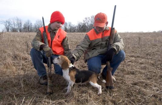 Two young rabbit hunters with a beagle