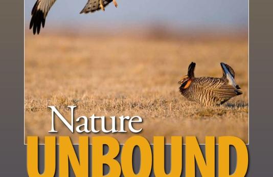 Discover Nature Schools Nature Unbound flyer