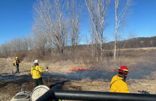 Staff work to ignite prescribed burn on Cooley Lake Conservation Area
