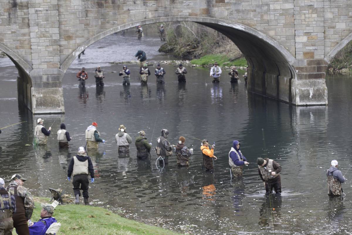A group of anglers evenly spaced in the water and fishing near a bridge
