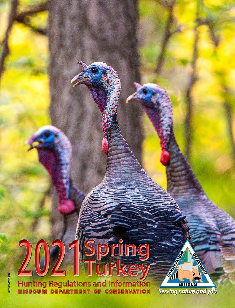 Turkey Missouri Department of Conservation