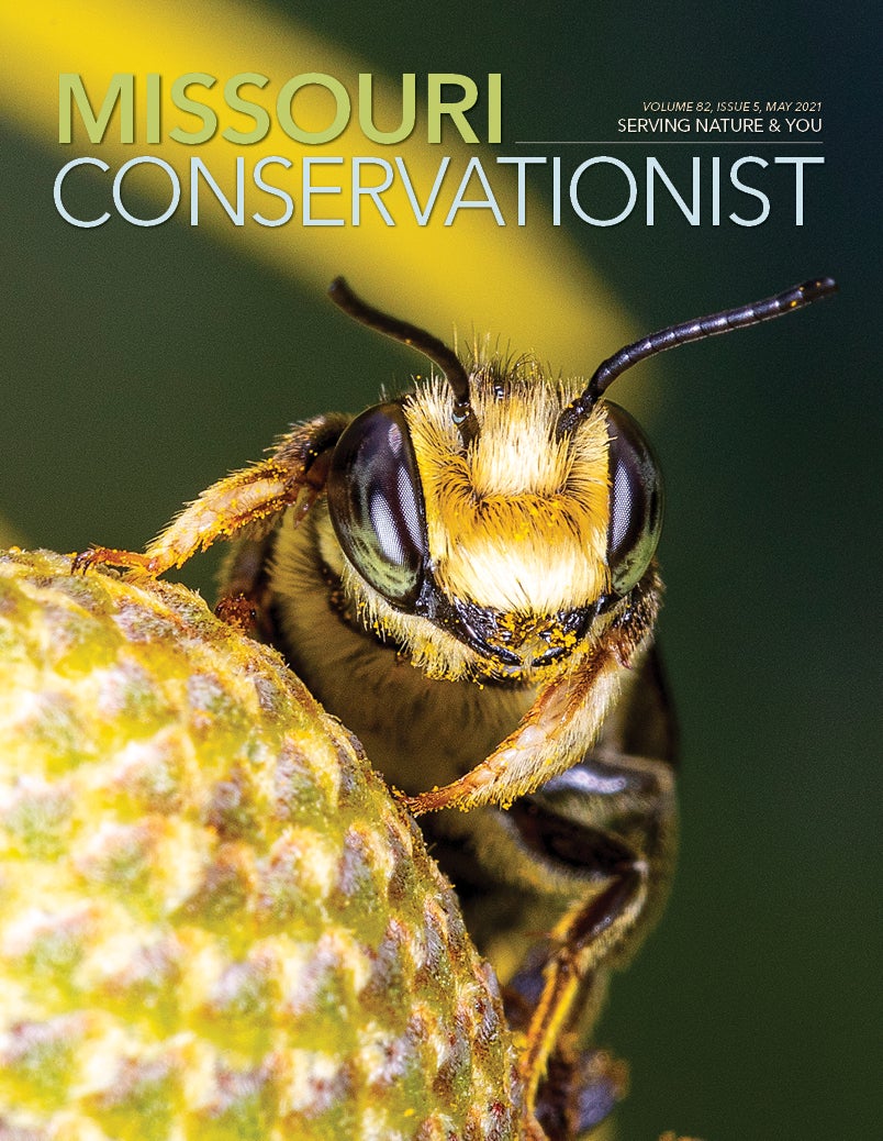 May Conservationist Cover 2021