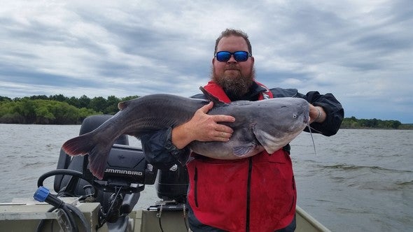 Angler holds large catfish