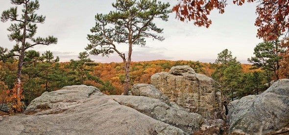 An overlook of Pickle Springs Natural Area