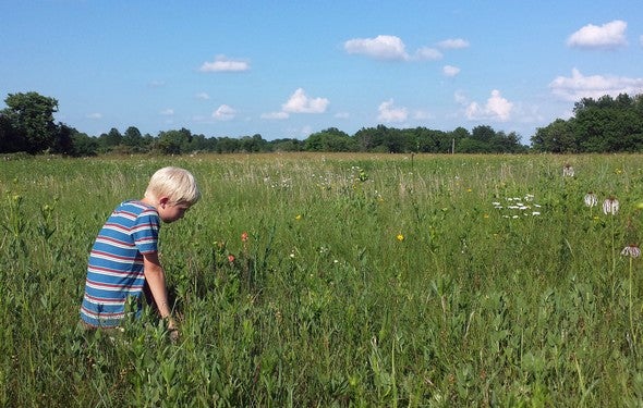 Boy in managed prairie remnant
