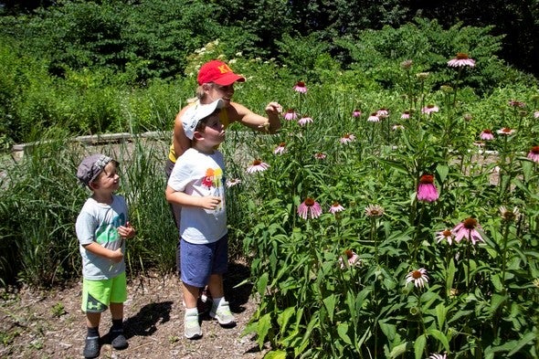 Family viewing coneflowers at Discover Center