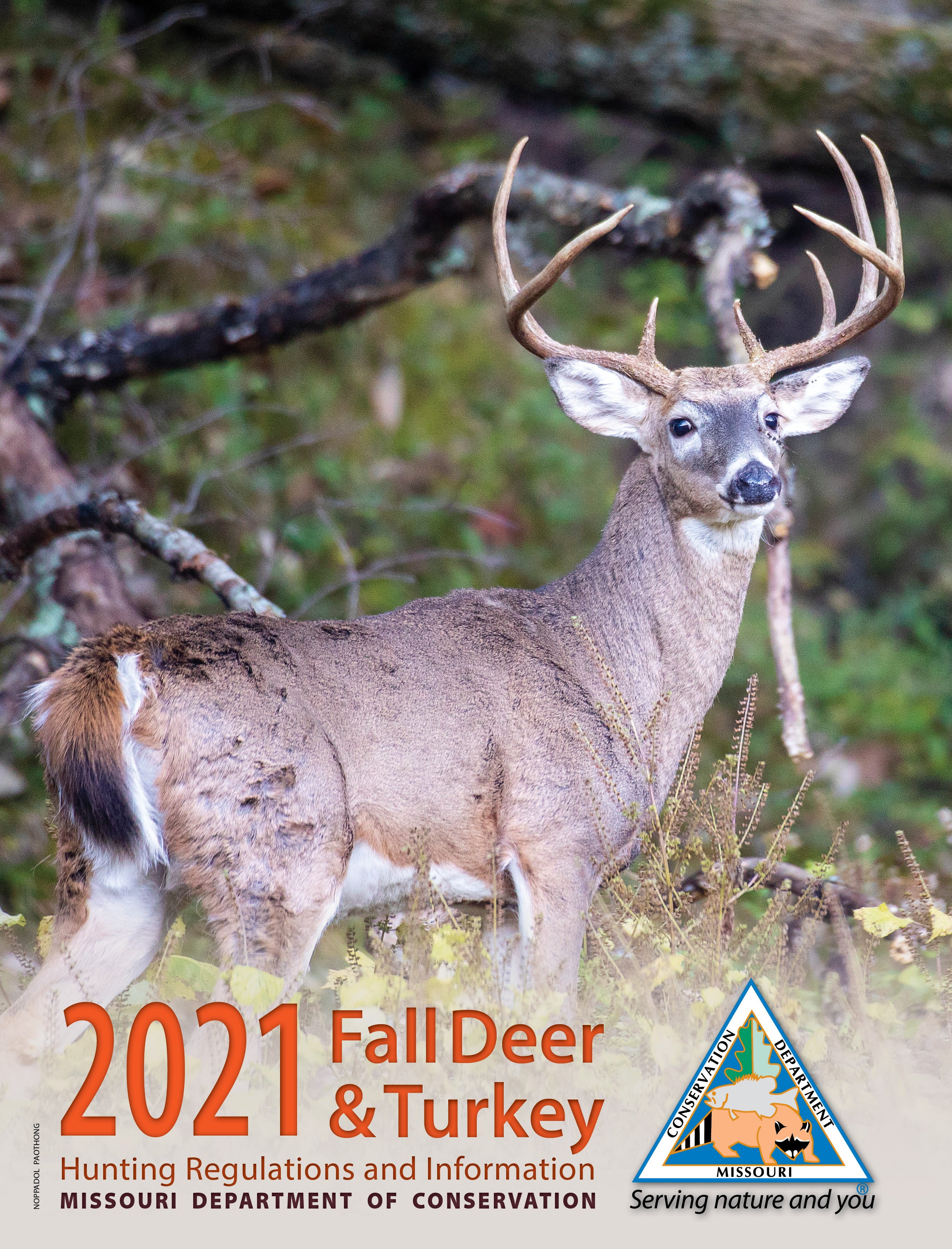 Cover of 2021 Fall Deer and Turkey Hunting Regulations and Information booklet