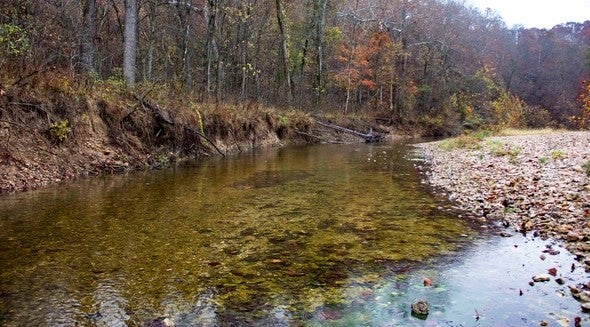 Big Buffalo Creek Conservation Area