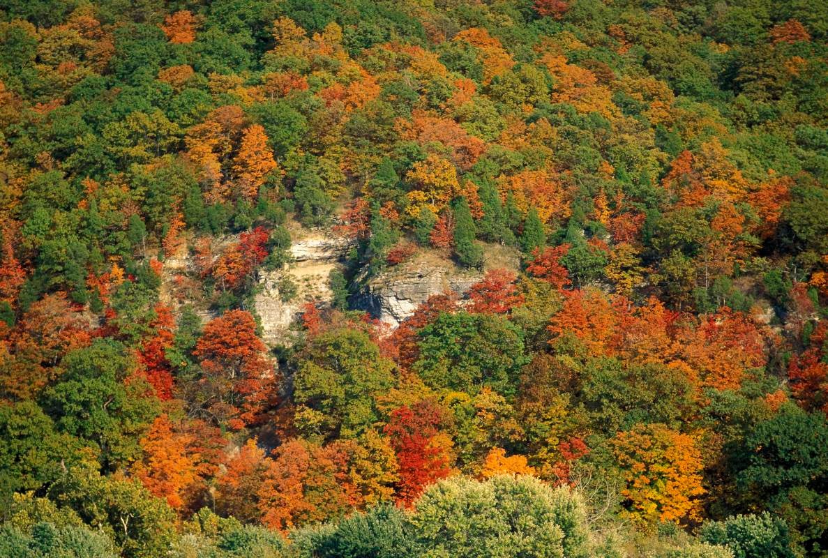 Fall color in Defiance