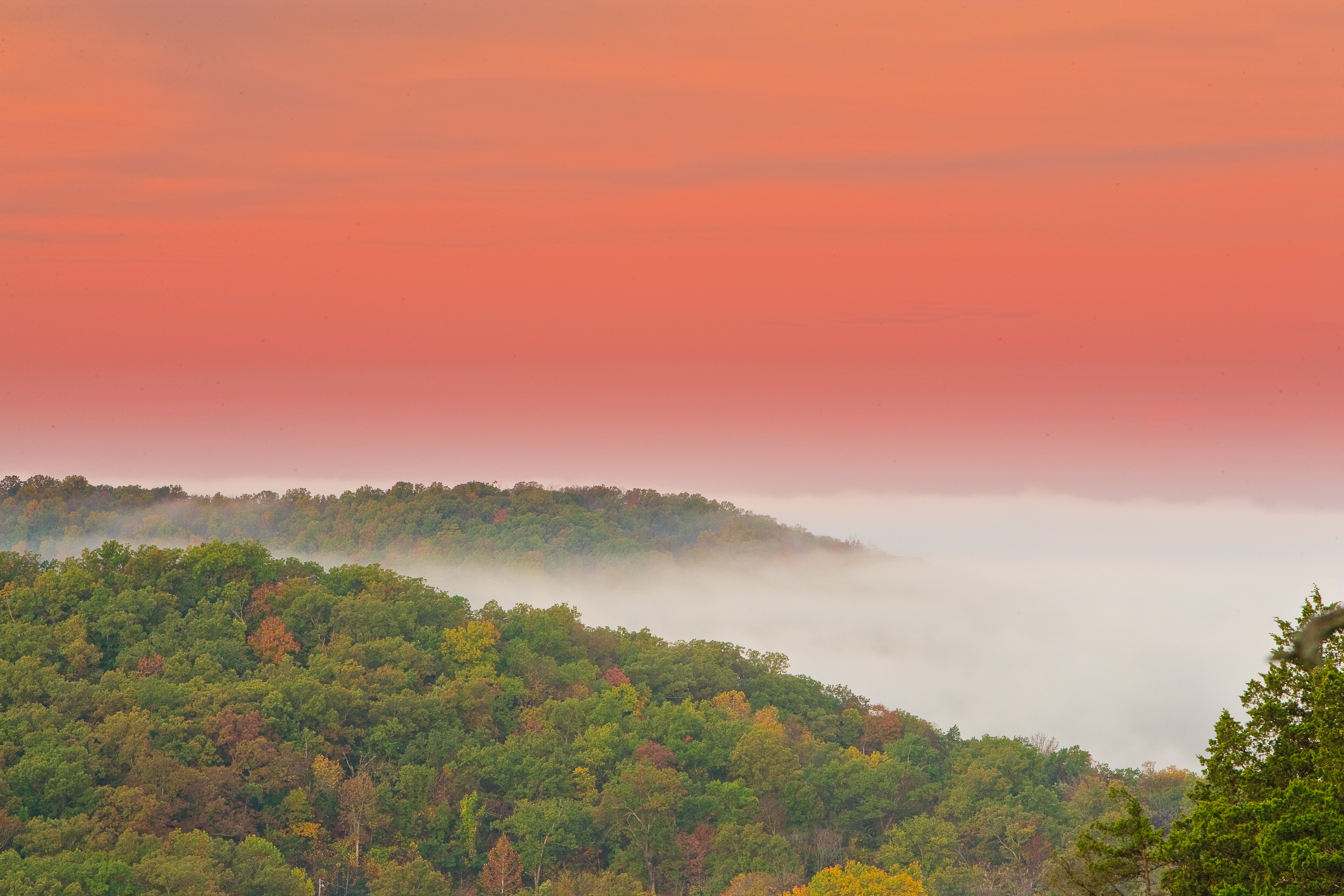 Fall color in Ha Ha Tonka State Park