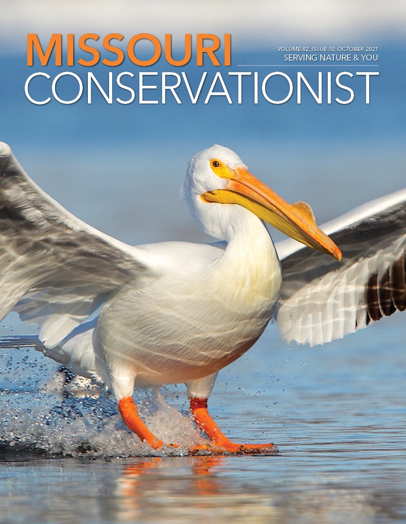 Missouri Conservationist Oct cover