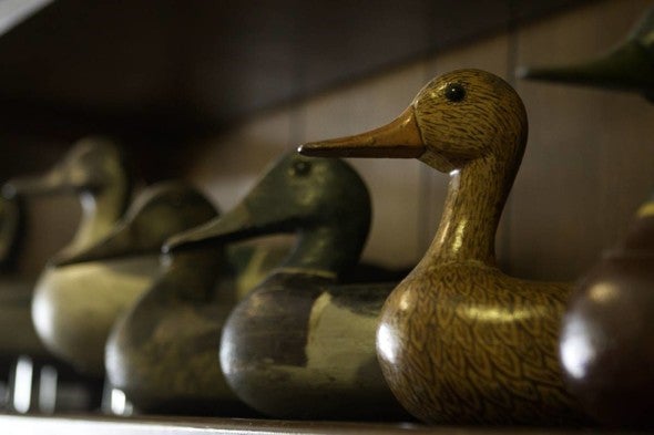 Wooden decoy ducks