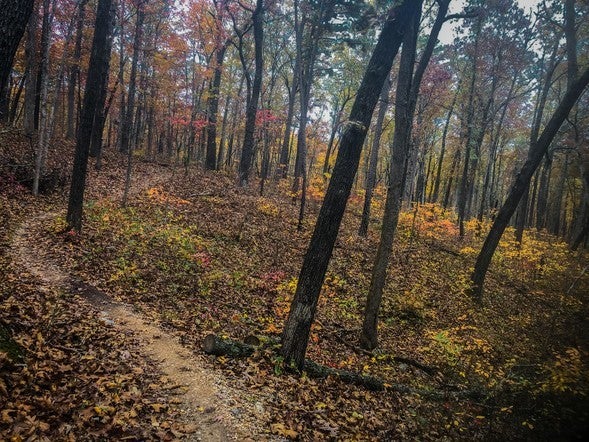 Fall hiking trail