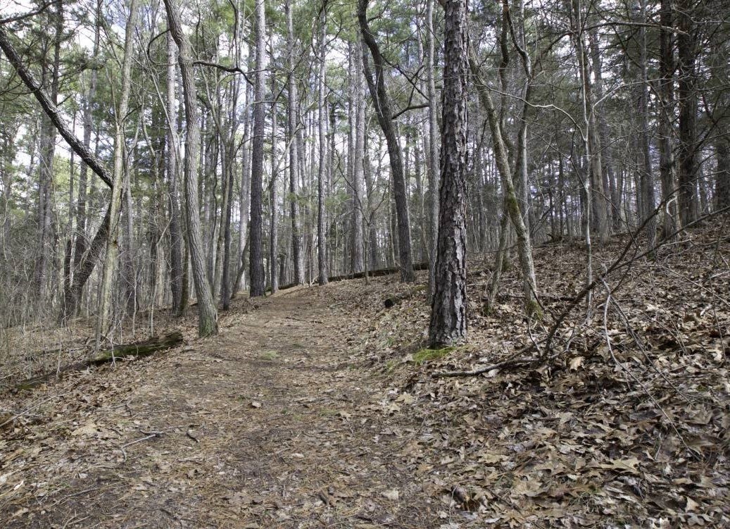 hiking trail