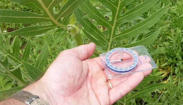 Man holds compass
