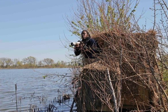 wildlife watching at Cooley Lake