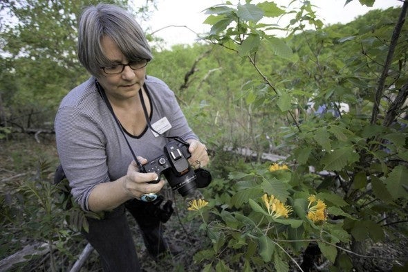 Woman takes pictures of flowers
