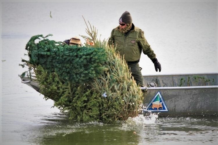 Christmas trees provide added brush
