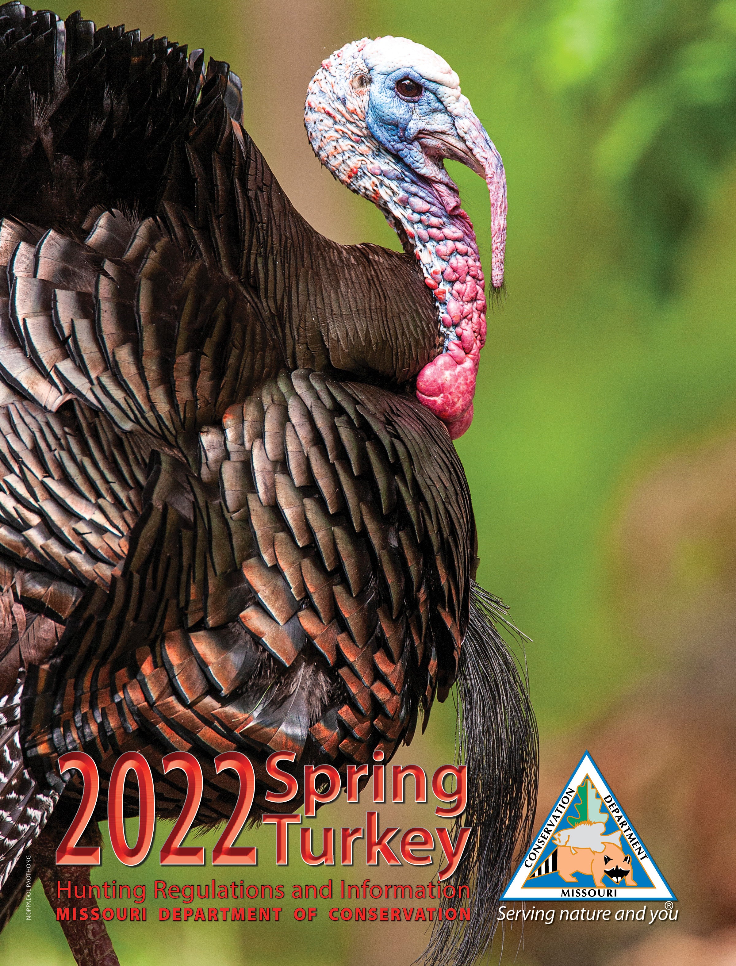 Spring turkey booklet cover