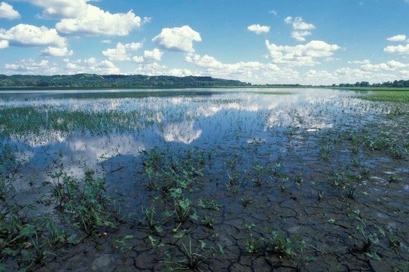 Northeast Missouri wetland