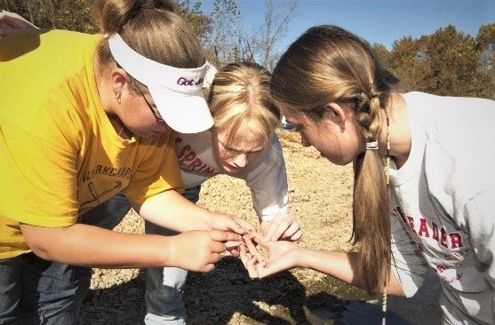 students look at nature