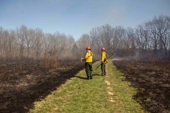 Two men and aftermath of prescribed burn