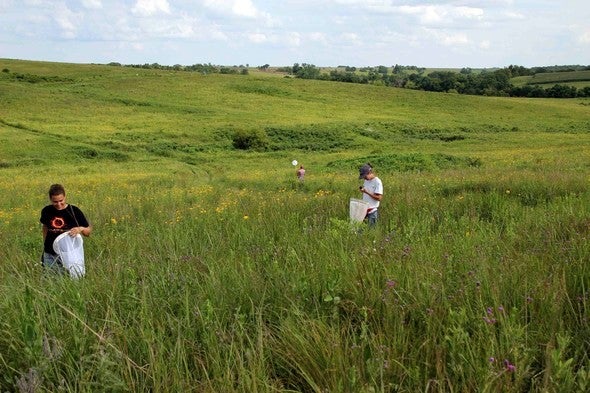 teachers in field