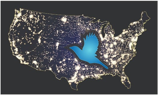 BirdSafeSTL