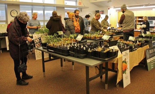 Native plant sale