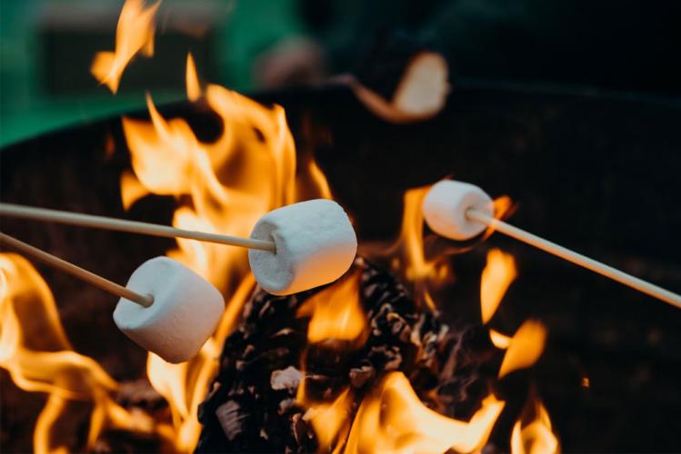 roasting marshmallows over campfire