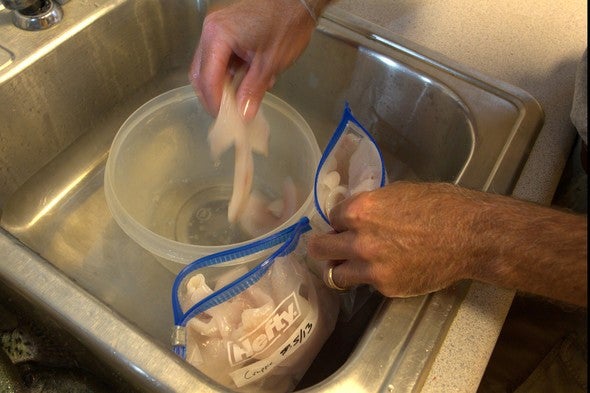 Man puts fish meat in a Hefty bag