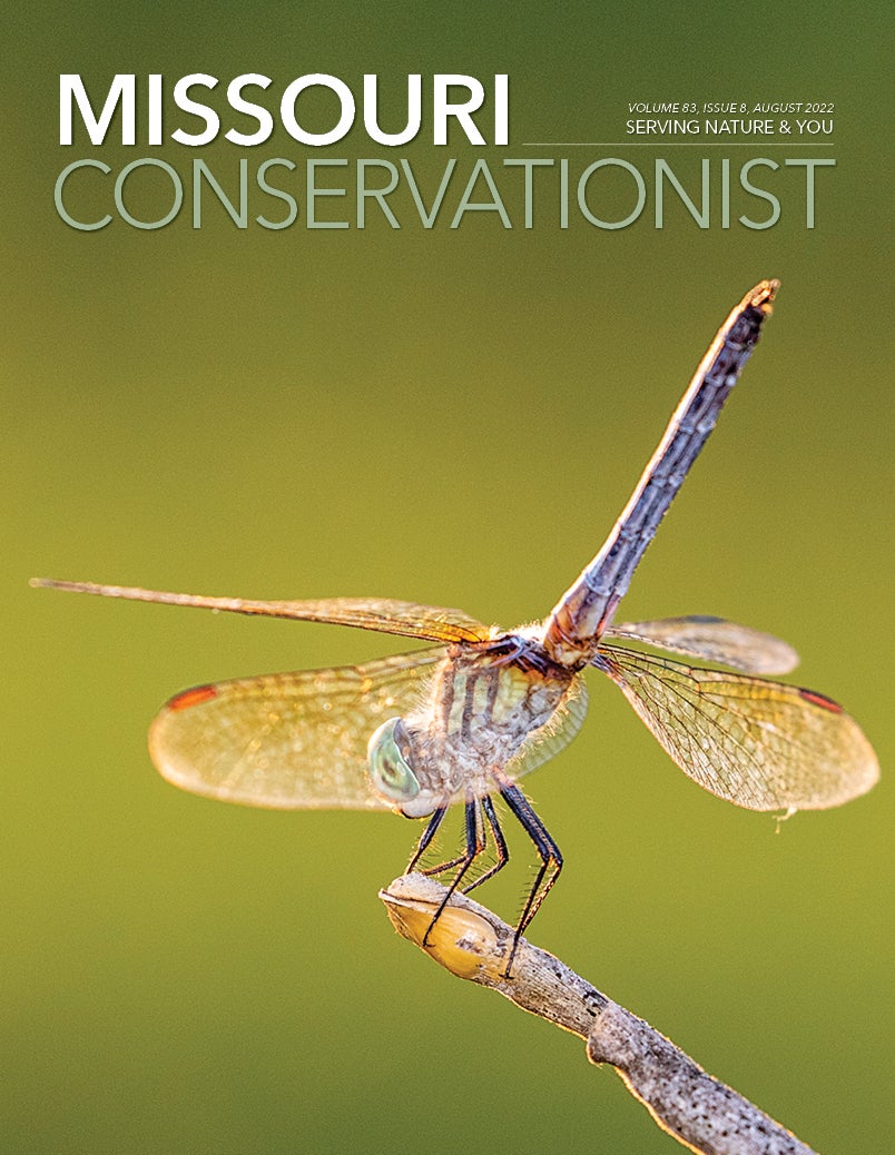 Cover for the Missouri Conservationist