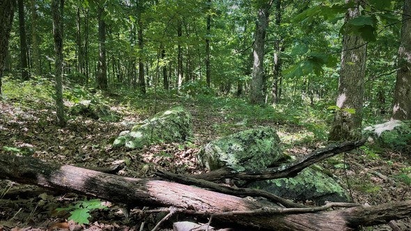 Funk Memorial State Forest and Wildlife Area