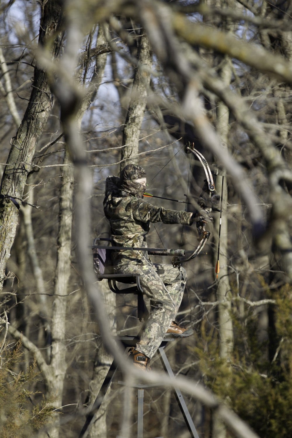 Deer archer in tree
